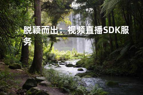 脱颖而出：视频直播SDK 服务
